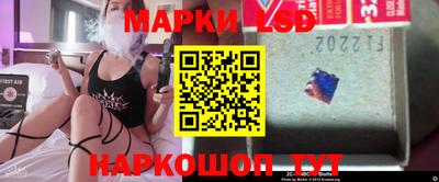 Альфа ПВП Кандалакша